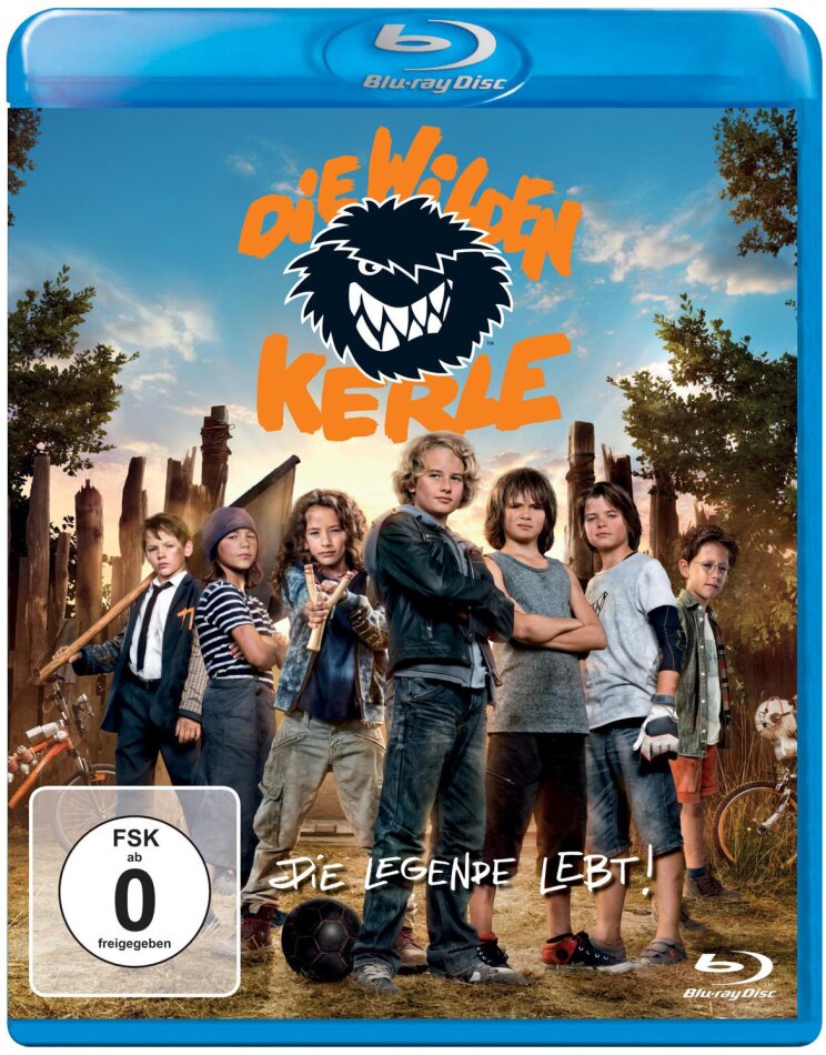 Die Wilden Kerle 6 - Die Legende lebt (2015)