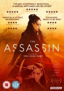 The Assassin (2015)