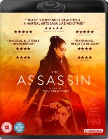 The Assassin (2015)