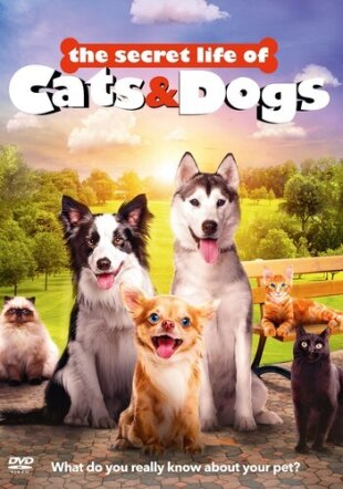 Secret Life Of Cats & Dogs