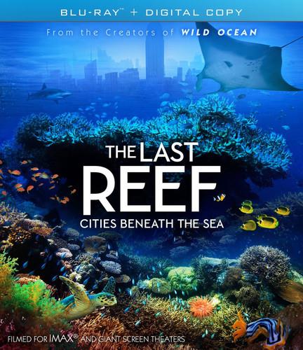 The Last Reef - Cities Beneath The Sea Imax