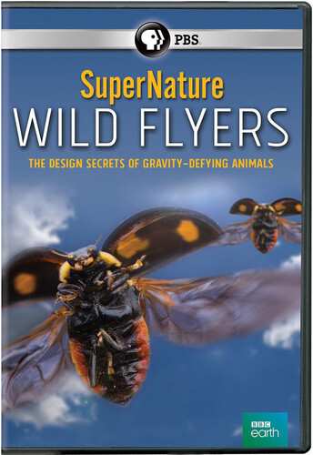 Supernature - Wild Flyers BBC Earth
