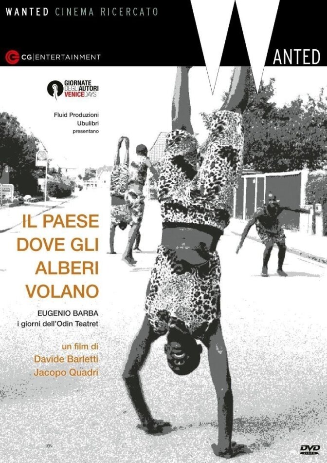 Il paese dove gli alberi volano (2015)