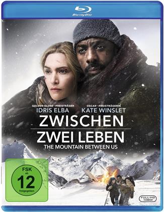 Zwischen zwei Leben - The Mountain Between Us (2017)