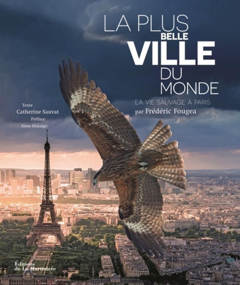 La plus belle ville du monde (2017) Collector's Edition, Blu-ray + DVD