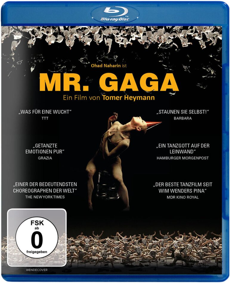 Mr. Gaga (2015)