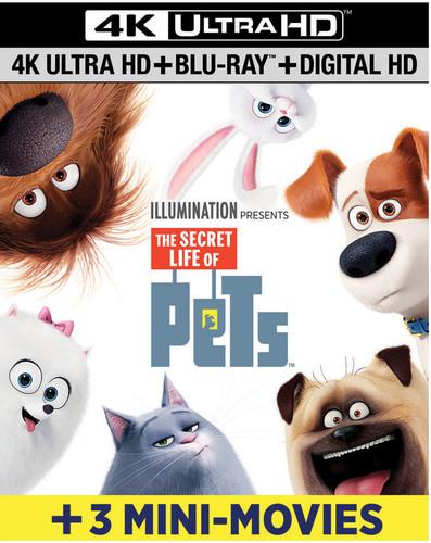 The Secret Life of Pets (2016) including 3 Mini Movies, 4K Ultra HD + Blu-ray