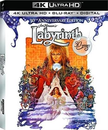 Labyrinth (1986) (Édition 30ème Anniversaire, 4K Ultra HD + Blu-ray)