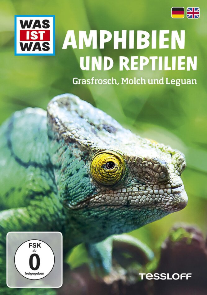 Was Ist Was - Amphibien und Reptilien - Grasfrosch, Molch und Leguan