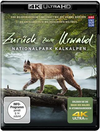 Zur&uuml;ck zum Urwald - Nationalpark Kalkalpen (2015)