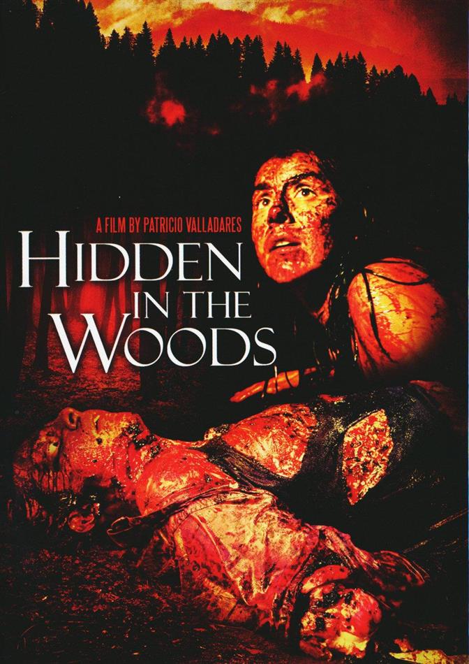 Hidden in the Woods (2014) Cover B, Mediabook, Blu-ray + 2 DVD