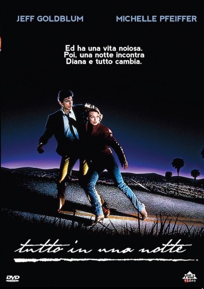 Tutto in una notte (1985)