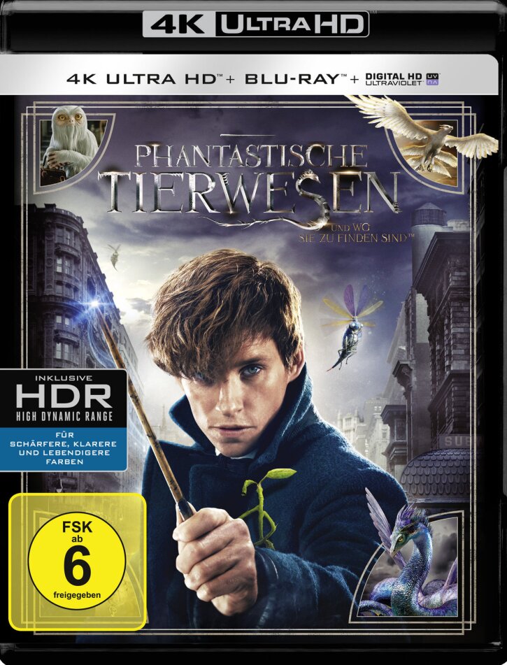 Phantastische Tierwesen und wo sie zu finden sind (2016) 4K Ultra HD + Blu-ray