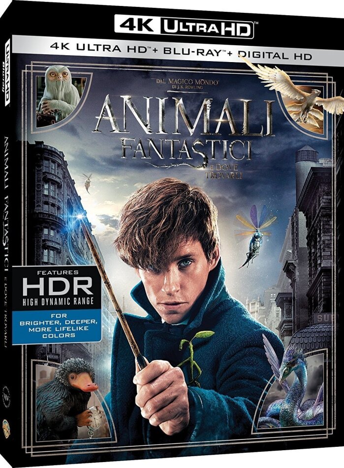 Animali fantastici e dove trovarli (2016) 4K Ultra HD + Blu-ray