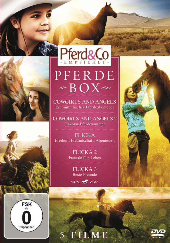 Pferde Box 5 DVDs