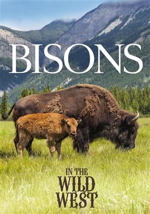 Bisons in the Wild West