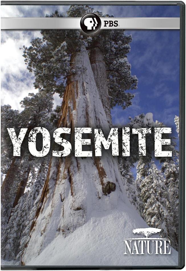 Nature - Yosemite