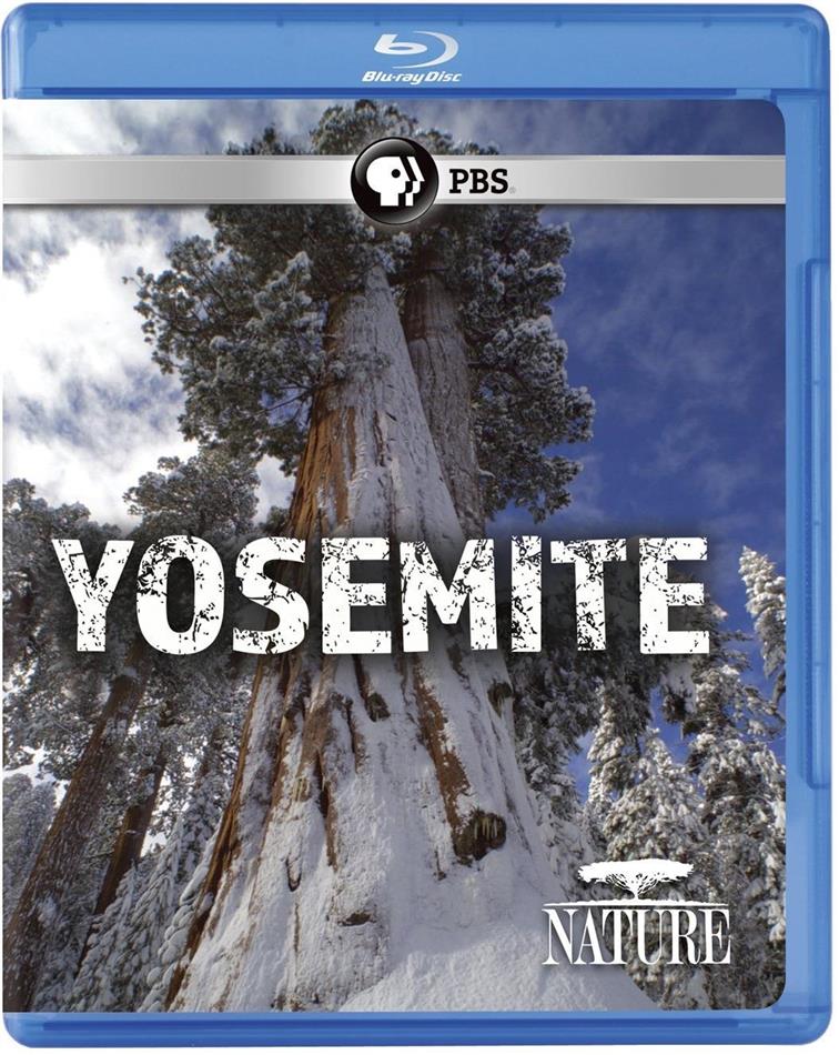 Nature - Yosemite