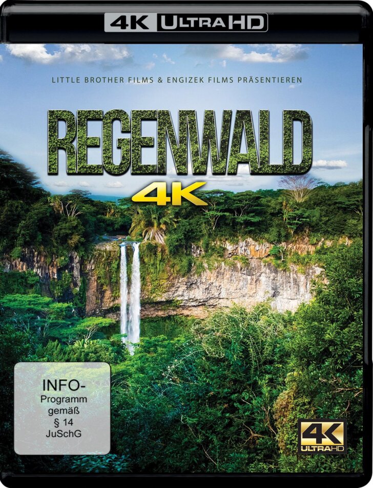 Regenwald