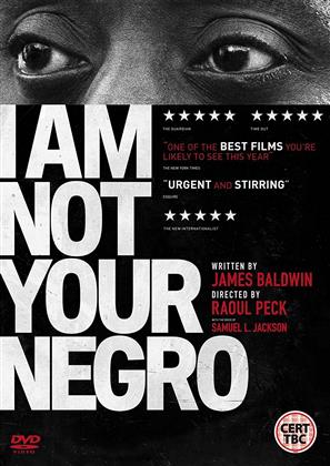 I Am Not Your Negro (2016)
