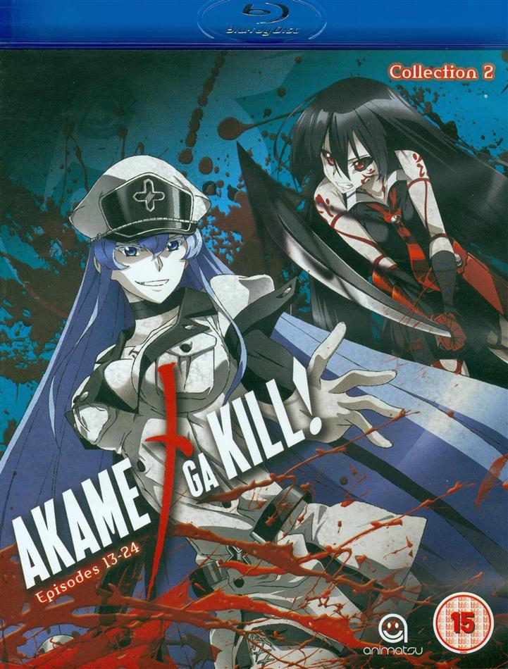 Akame ga Kill! - Collection 2 - Staffel 1.2 2 Blu-rays