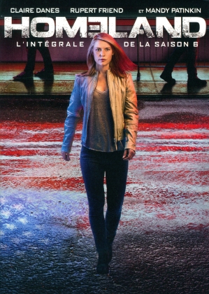 Homeland - Saison 6 (4 DVD)