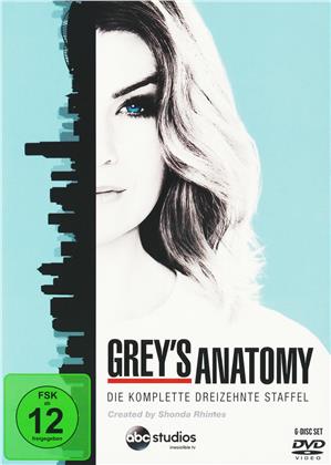 Grey&rsquo;s Anatomy - Staffel 13 (6 DVDs)