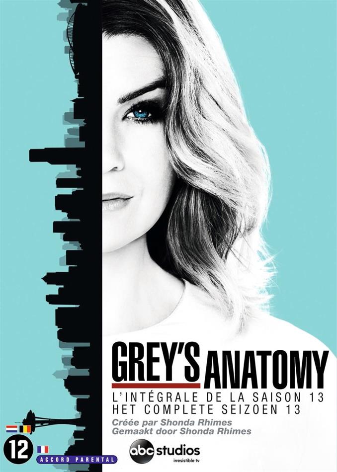 Grey's Anatomy - Saison 13 6 DVD