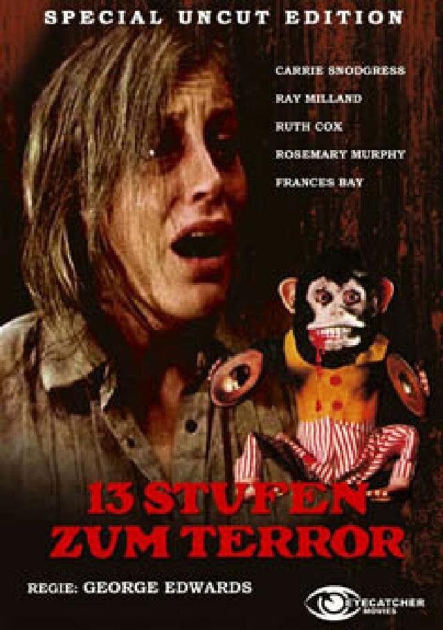13 Stufen zum Terror (1980) Kleine Hartbox, Cover B, Special Edition, Uncut