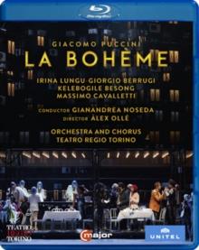 Orchestra Teatro Regio di Torino, Gianandrea Noseda & Irina Lungu - Puccini - La Bohème C Major, Unitel Classica