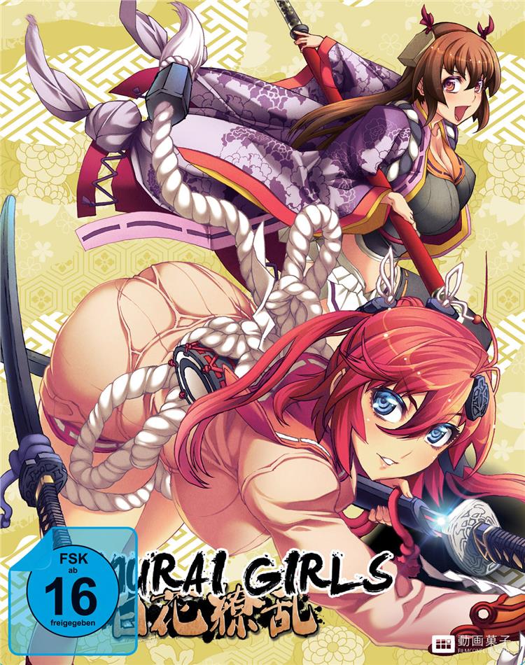 Samurai Girls - Staffel 1 Steelbook, 3 DVD