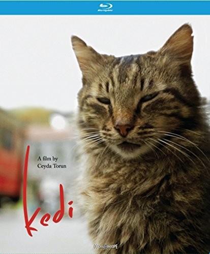Kedi (2016)