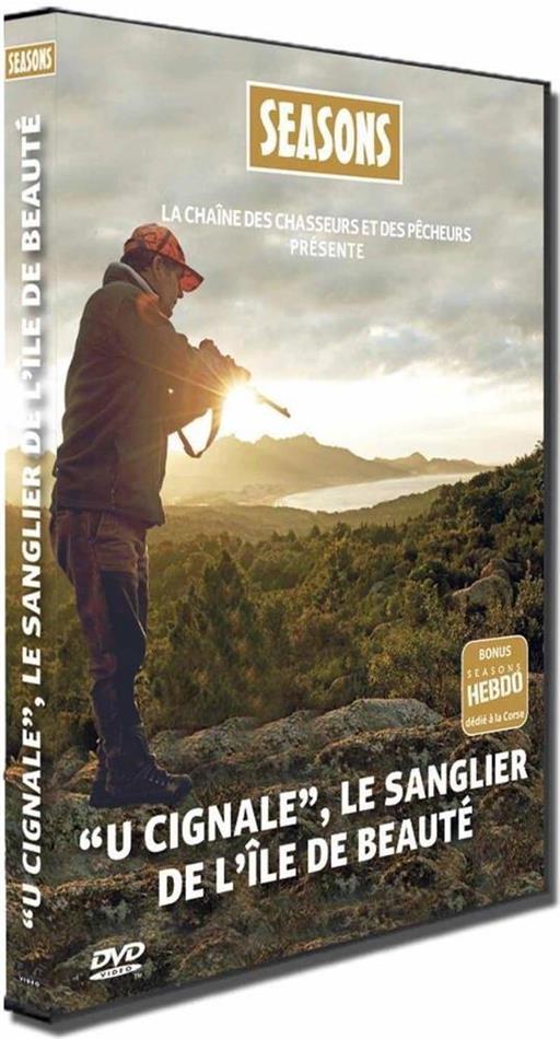 "U cignale" - le sanglier de l'île de beauté