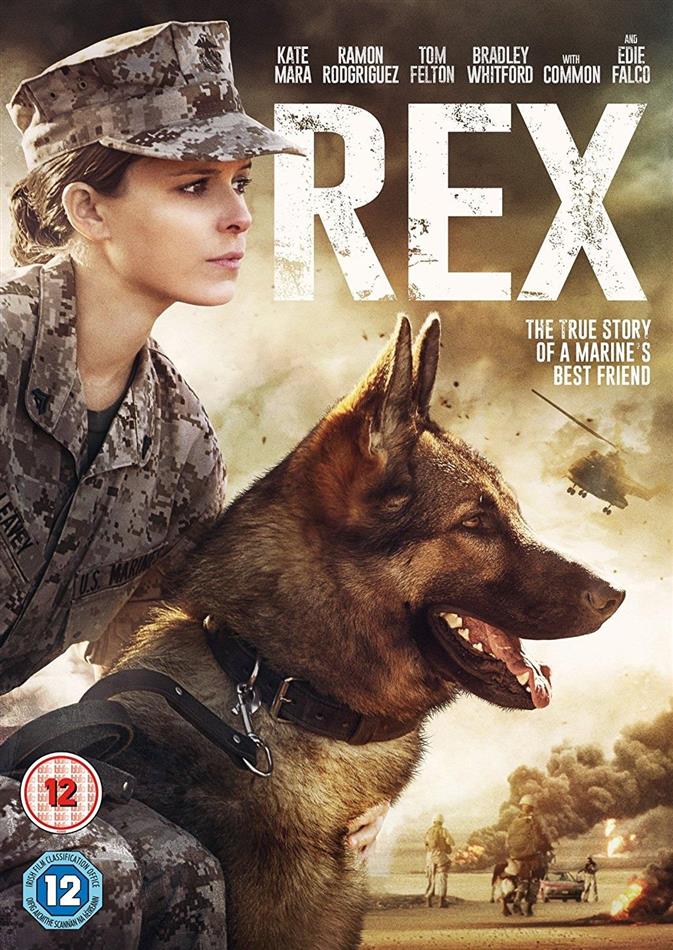 Rex (2017)