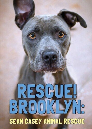 Rescue! Brooklyn (2015)