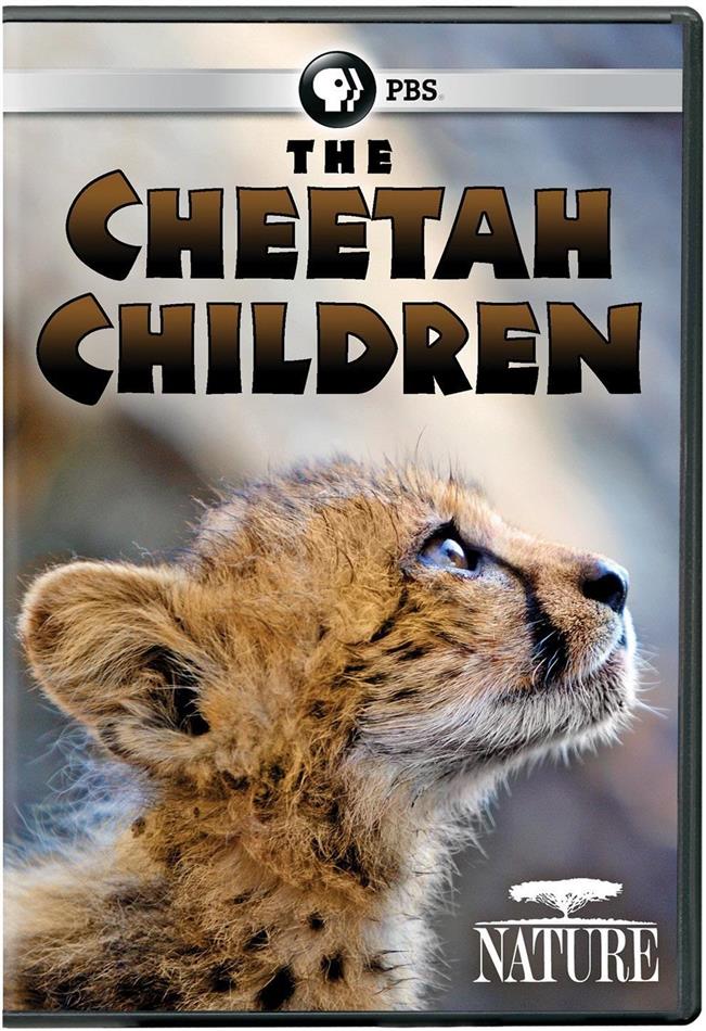 The Cheetah Children Nature