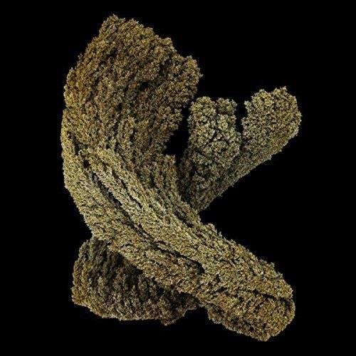 Max Cooper - Emergence LP
