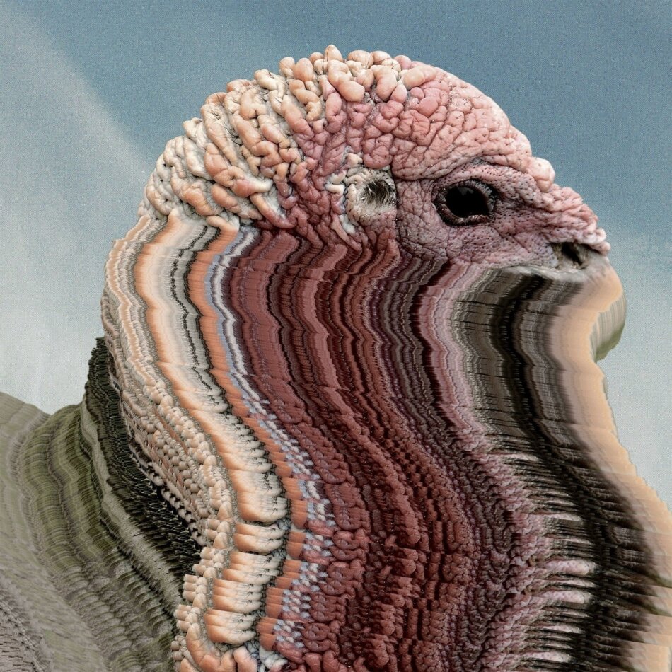 Holy Fuck - Bird Brains LP
