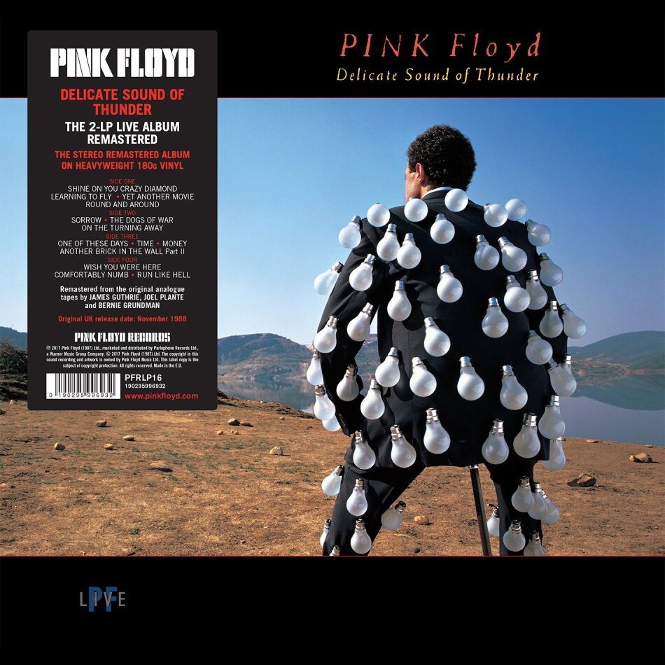 Pink Floyd - Delicate Sound Of Thunder Gatefold, Versione Rimasterizzata, 2 LP