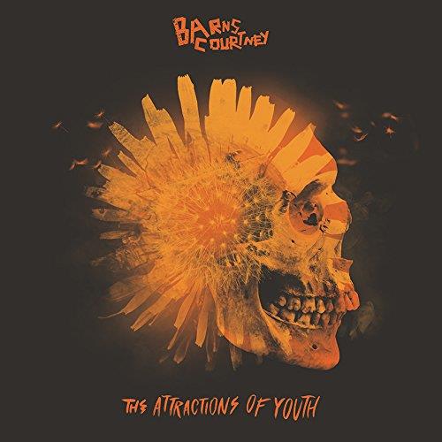 Barns Courtney - Attractions Of Youth Picture Disc, LP