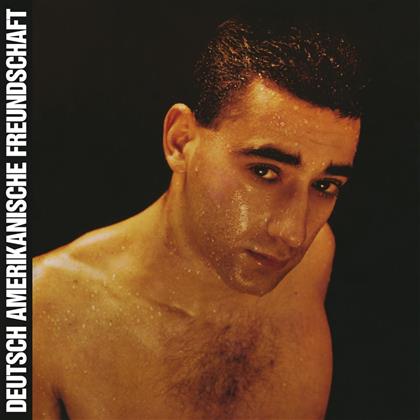Deutsch Amerikanische Freundschaft (DAF) - Alles Ist Gut (LP)