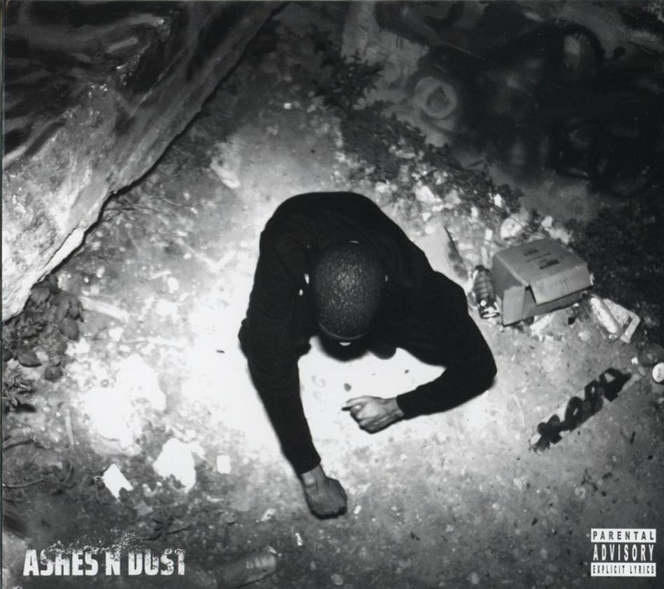 Trizz - Ashes N Dust