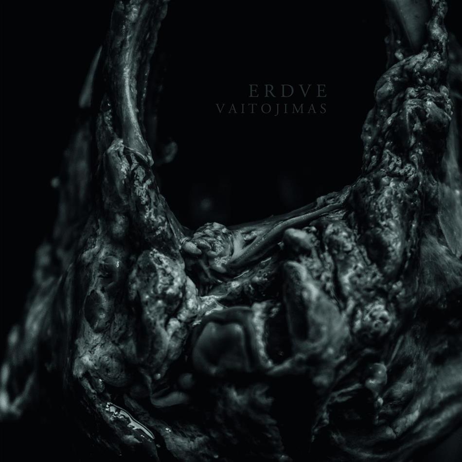 Erdve - Vaitojimas LP