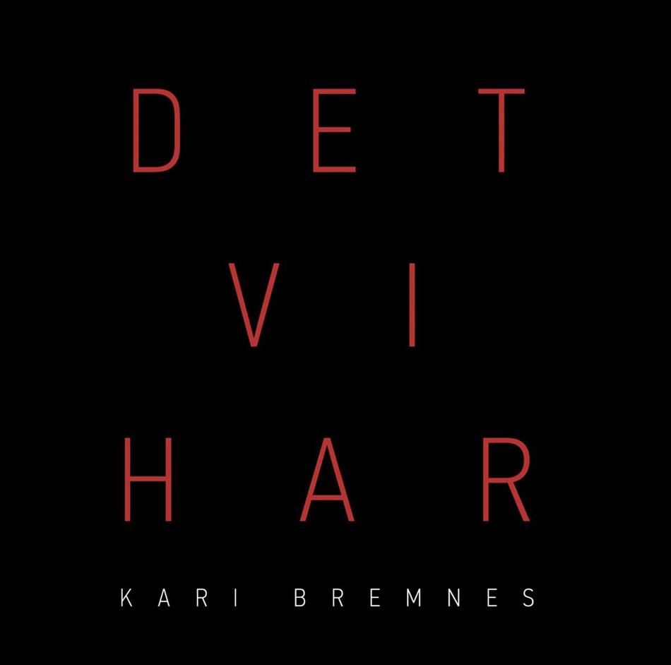 Kari Bremnes - Det Vi Har 2 LPs