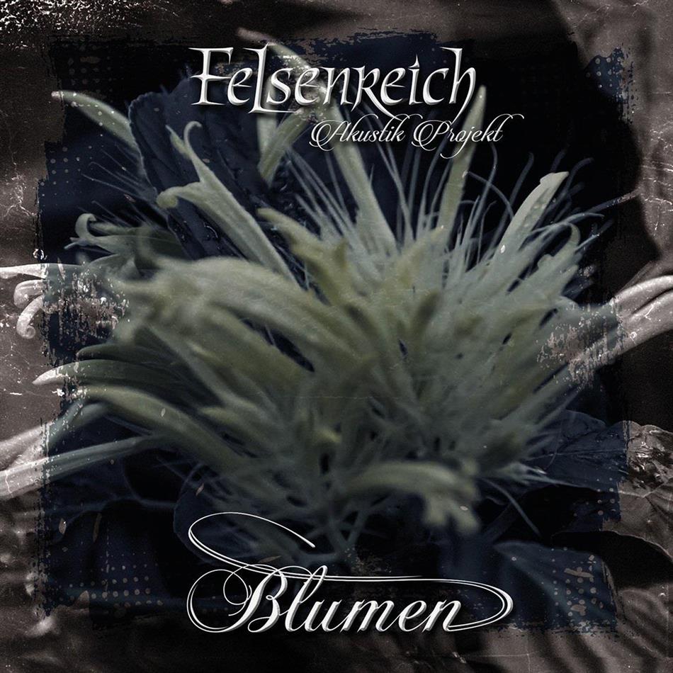 Felsenreich - Blumen