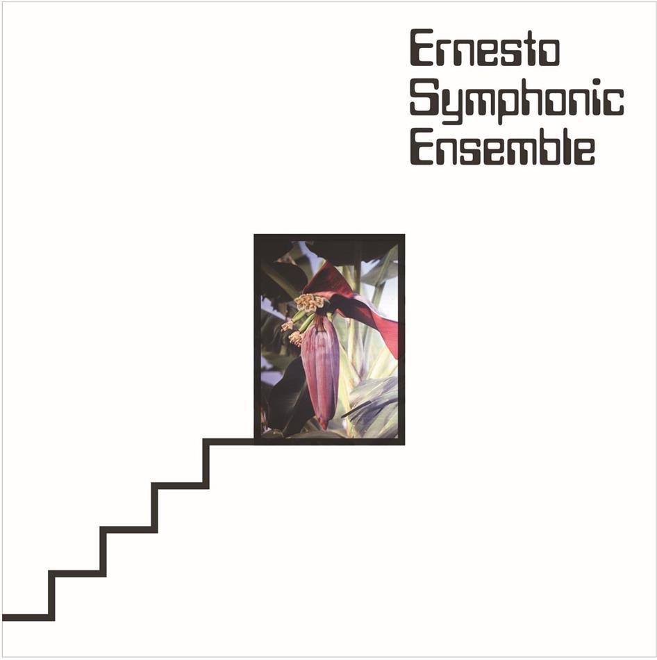 Ernesto Symphonic Ensemble - Insieme LP