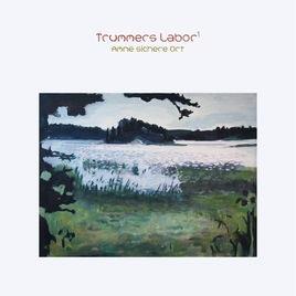 Trummer - Labor1: Amne Sichere Ort LP
