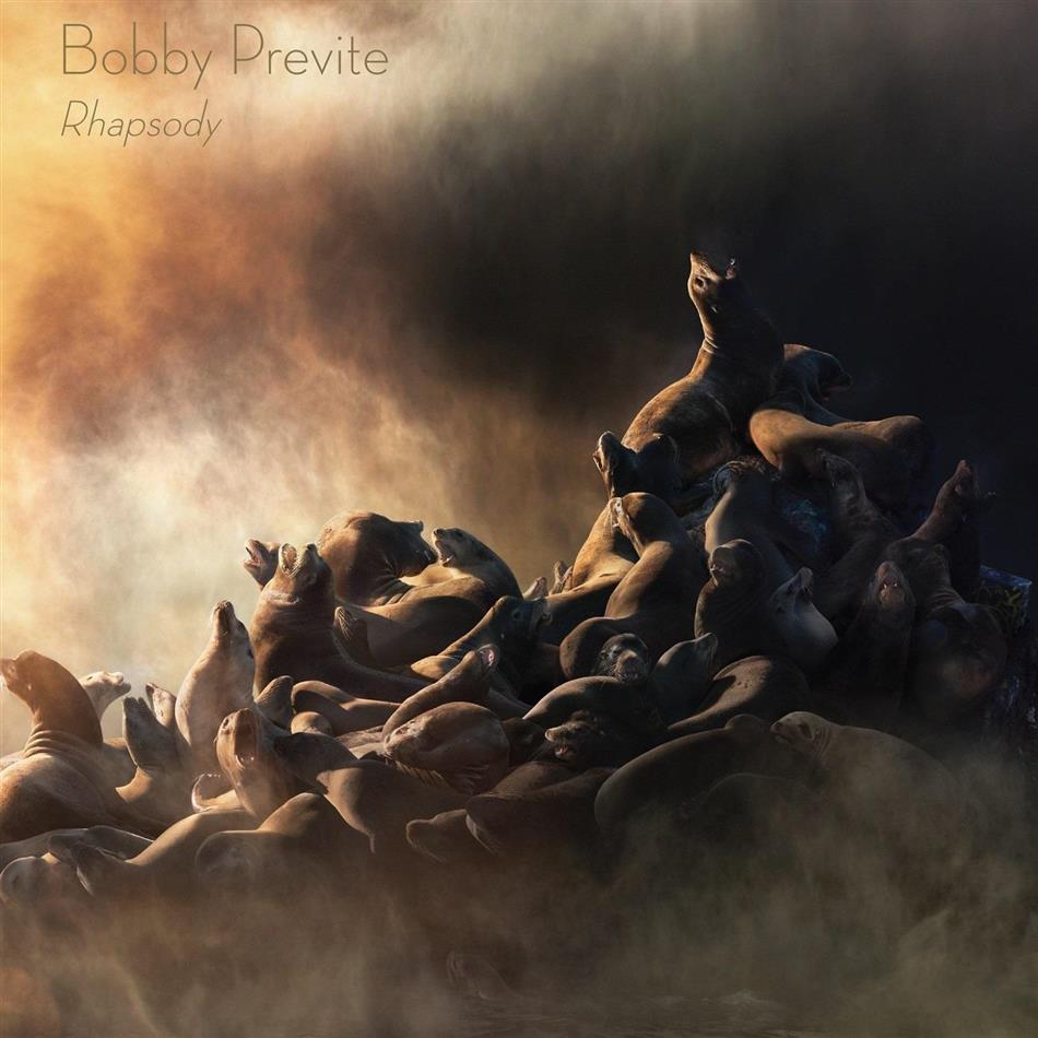 Bobby Previte - Rhapsody 2 LPs