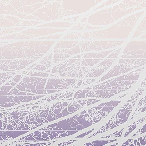 Lea Bertucci - Metal Aether 12" Maxi