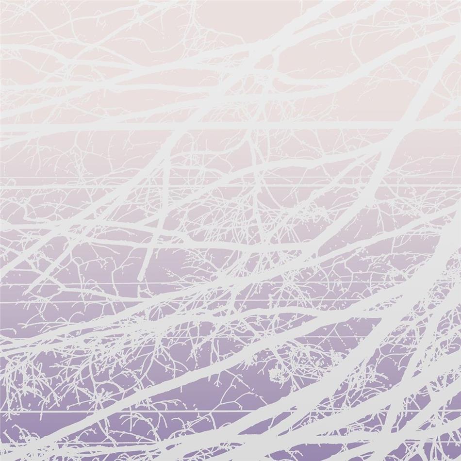 Lea Bertucci - Metal Aether